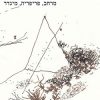 נשים בדרום: מרחב